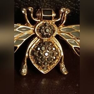 Chic Gold and Black Insect Brooch